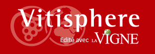 vitisphere
