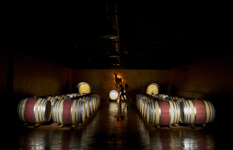 Wine cave with barrels